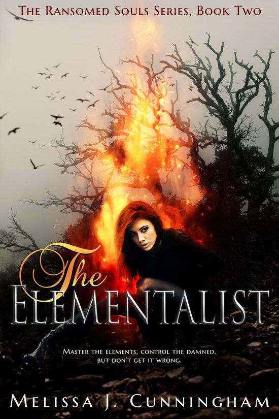 The Elementalist - cover