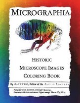 Historic Images- Micrographia