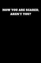 Now You Are Scared, Aren