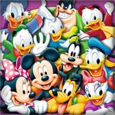 Diamond Painting Disney Figuren (XL Afmeting, Canvas 47X47cm , Afbeelding 40X40cm)  Diamant Schilderen Hobby Disney Figuren Pixelen Pixelpakket DiamondPaintings Diamond Painting Pa