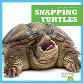 Reptile World- Snapping Turtles