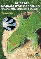 Grote Madagascar-Daggecko (niederl.)