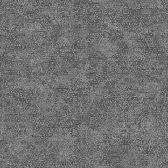 Couleurs geo grijs/zilver hexagoon / lijnen (vliesbehang, zilver)