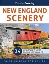 New England Scenery