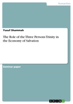 The Role of the Three Persons Trinity in the Economy of Salvation