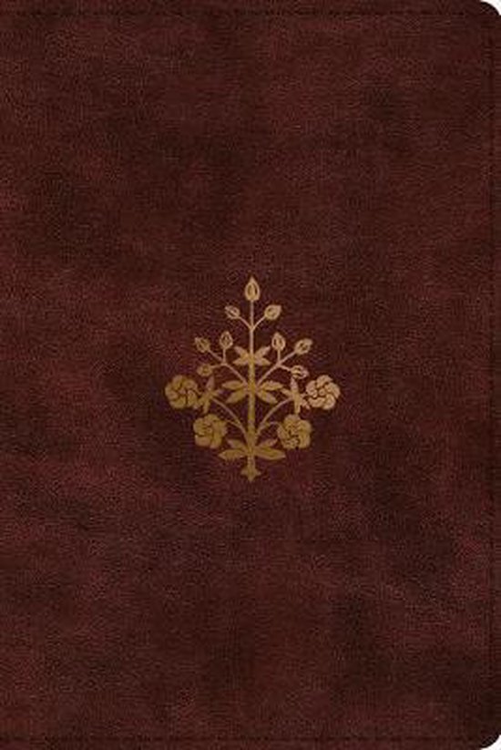 esv-study-bible-personal-size-9781433564703-boeken-bol