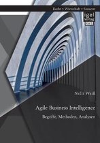 Agile Business Intelligence. Begriffe, Methoden, Analysen