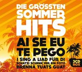 Die grÃ¶Ãten Sommerhits