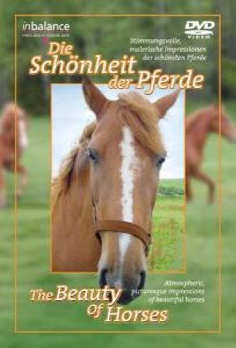 Schonheit Der Pferde
