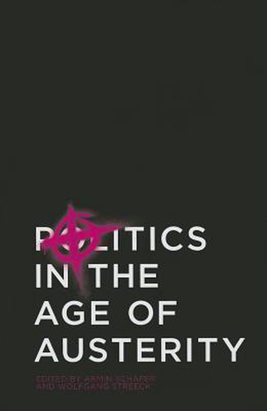 Politics in the Age of Austerity - cover