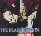 a conspiracy - black crowes