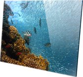 PLEXIGLAS WANDDECORATIE OCEAAN 90 X 60CM