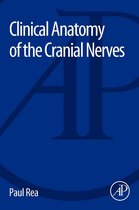Clinical Anatomy Of The Cranial Nerves