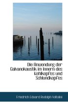 Die Anwendung Der Galvanokaustik Im Innern Des Kehlkopfes Und Schlundkopfes