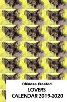 Chinese Crested Lovers Calendar 2019-2020