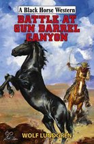 Battle at Gun Barrel Canyon