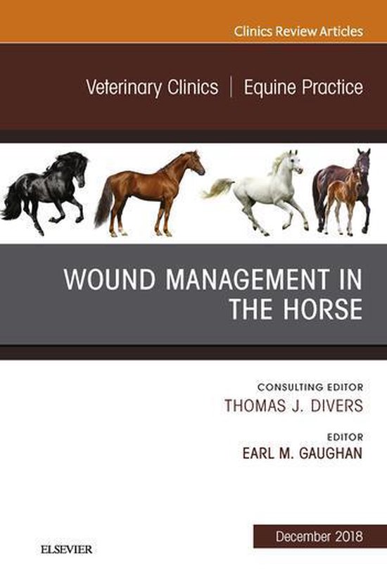The Clinics: Veterinary Medicine Volume 34-3 - Wound Managem ... - cover