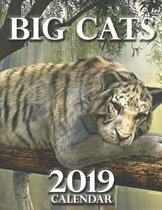 Big Cats 2019 Calendar