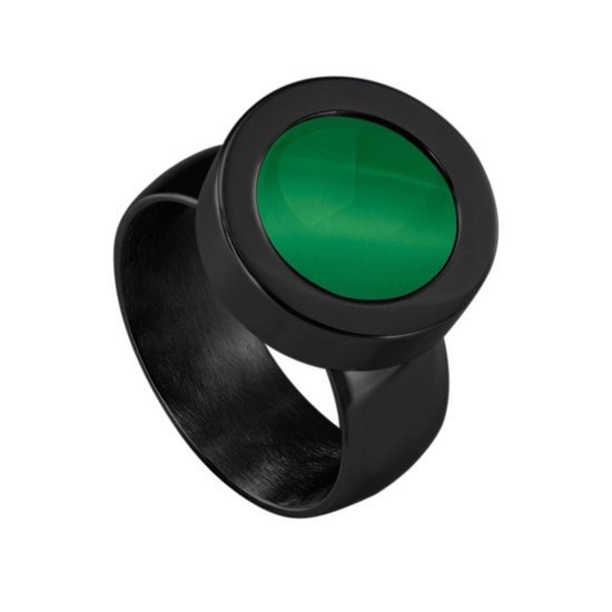 Quiges RVS Schroefsysteem Ring Zwart Glans met Verwisselbare 12mm Mini Munt