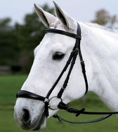 Hoofdstel star Hannover zwart maat pony