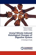 Uranyl Nitrate Induced Histological Changes of Digestive System