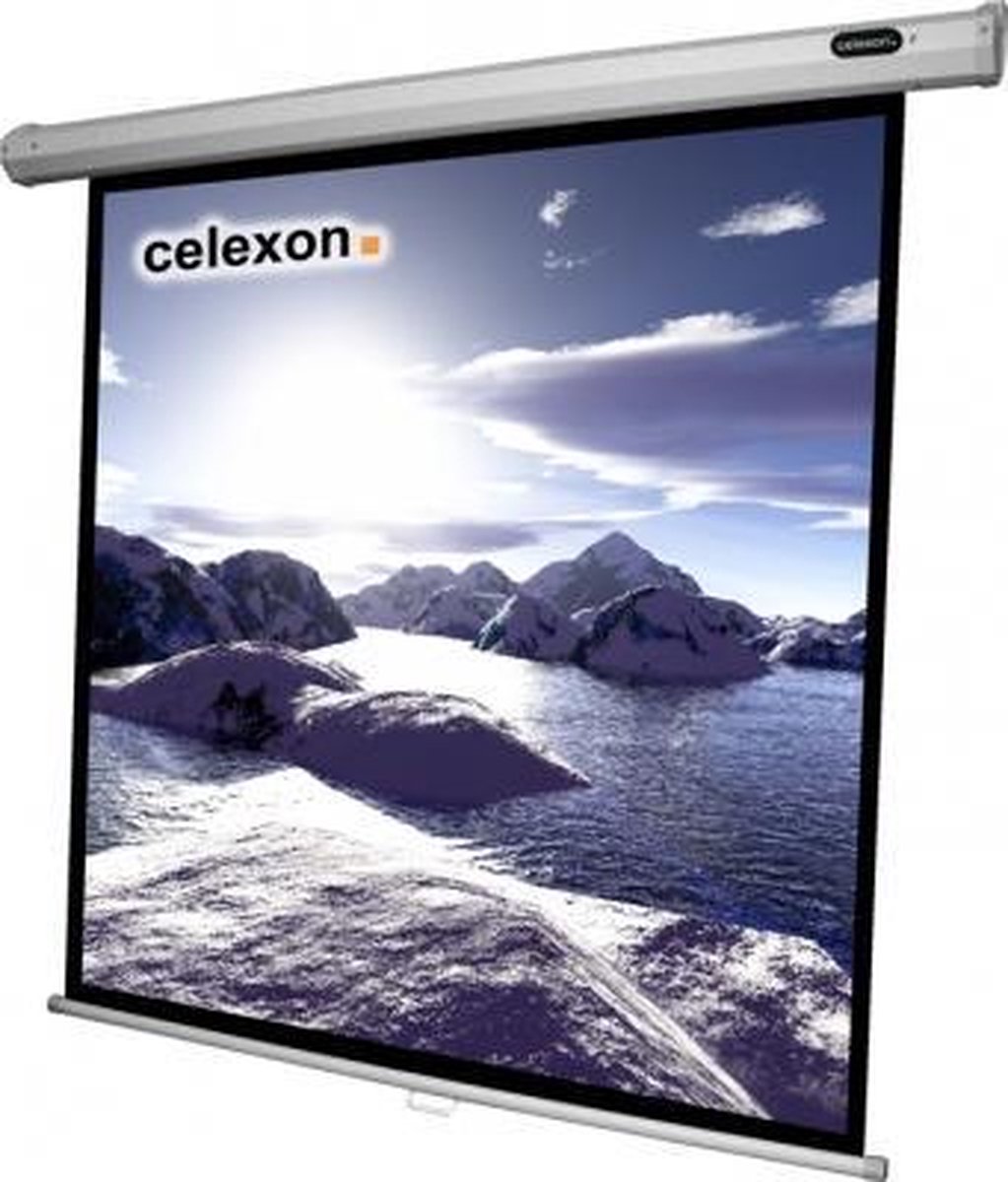 Celexon 1090252 projectiescherm 1:1