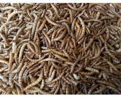 Meelwormen - Buitenvogelvoer - 30 Liter - 5KG