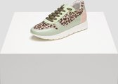 Ellen 1A | Leopard kleurrijk - 39 Dames Veterschoenen  - Groen - Maat 39