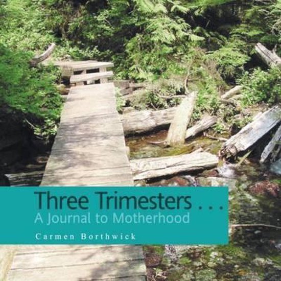 Three Trimesters ... A Journal to Motherhood - cover