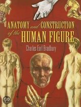 Anatomy And Construction Of The Human Figure