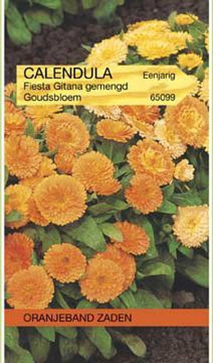 Calendula, Goudsbloem Fiesta Gitana