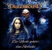 Dragonbound 18. Die Nacht gehört den Skolniks