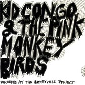 Kid Congo & Pink Monkey Birds - Bruce Juice (7" Vinyl Single)