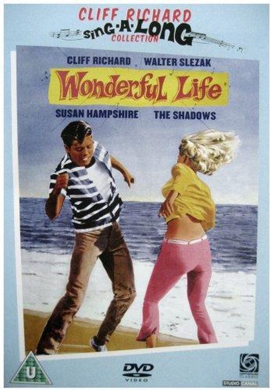 Cover van de film 'Wonderful Life'