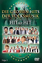Die Grossen Hits Der Volksmusik Vol. 3