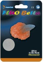 Superfish fluo betta voor in je fluo aquarium