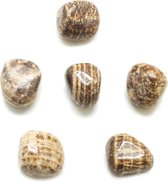 Aragoniet trommelstenen 1,5 - 2 cm 100 gram