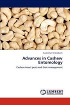 Advances in Cashew Entomology