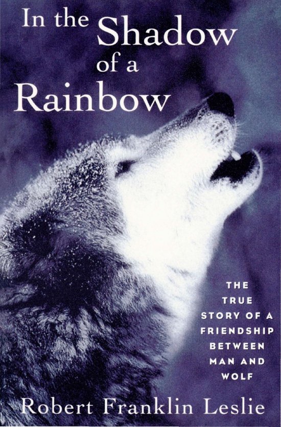 In the Shadow of a Rainbow - cover