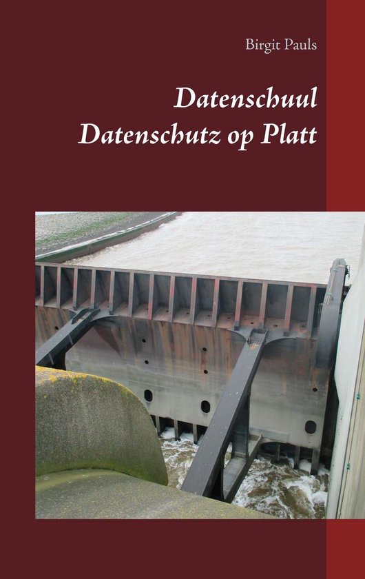 Datenschuul - cover