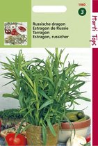 Graines Hortitops - Estragon