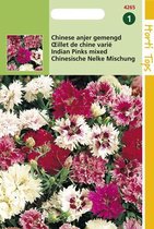 Hortitops Zaden - Dianthus Chinensis Dubbelbloemig Gemengd