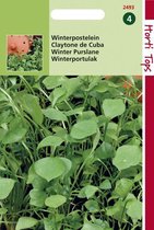Hortitops Zaden - Postelein Winter / Claytonia Perfoliata