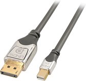 LINDY 36313 DisplayPort-kabel Mini-displayport / DisplayPort Adapterkabel Mini DisplayPort-stekker, DisplayPort-stekker