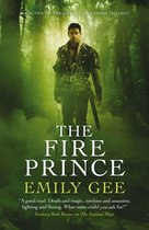 Cursed Kingdoms Trilogy 2 - The Fire Prince