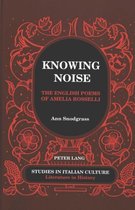 Knowing Noise