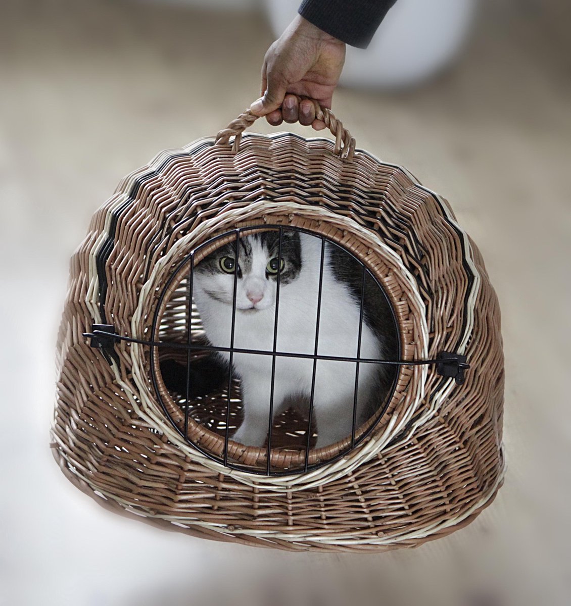 Kattenmand - Kattenhuis riet - Rieten Rotan Reismand met de deurtje MAAT S  | bol