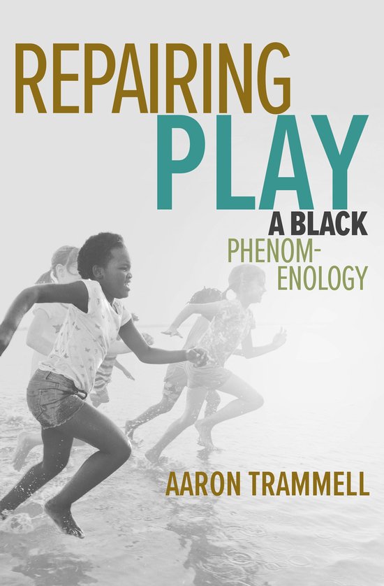 Playful Thinking - Repairing Play - cover