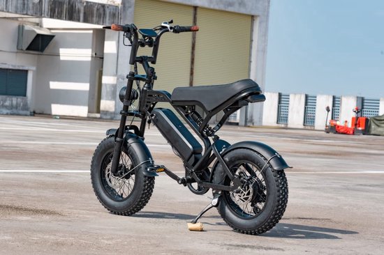 V20 Mini Fatbike – Elek...