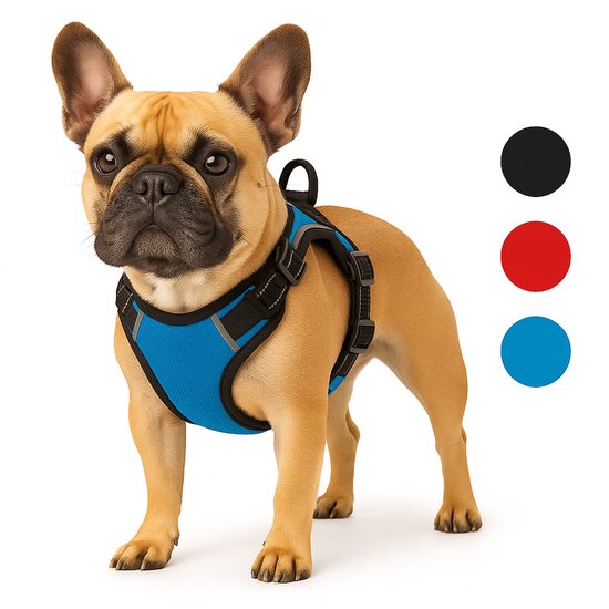 Hondentuig Balou Blue - Blauw - 50 - 65 cm x 25 mm